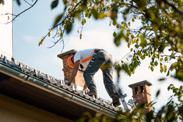 Best Solar Panel Roofing Installation  in Whitehall, WI