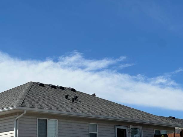 Best Roof Coating and Sealing  in Whitehall, WI